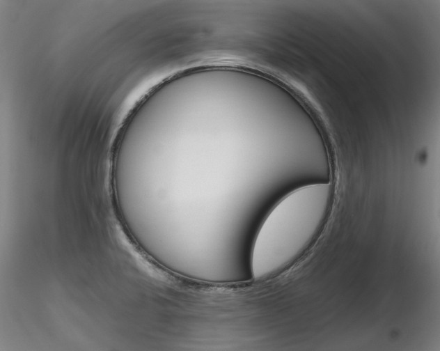 X0000116801424200912181107