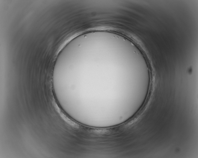 X0000116801425200912181107
