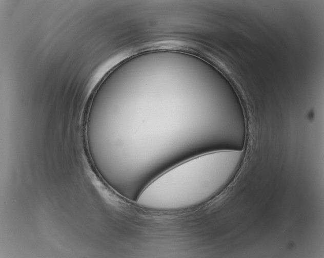 X0000116801426200912181108