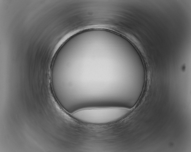 X0000116801428200912181108