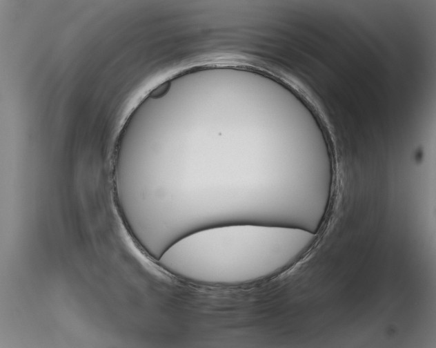 X0000116801429200912181108