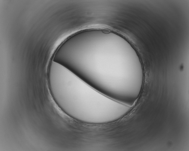 X0000116801430200912181108