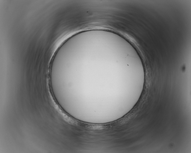 X0000116801431200912181108