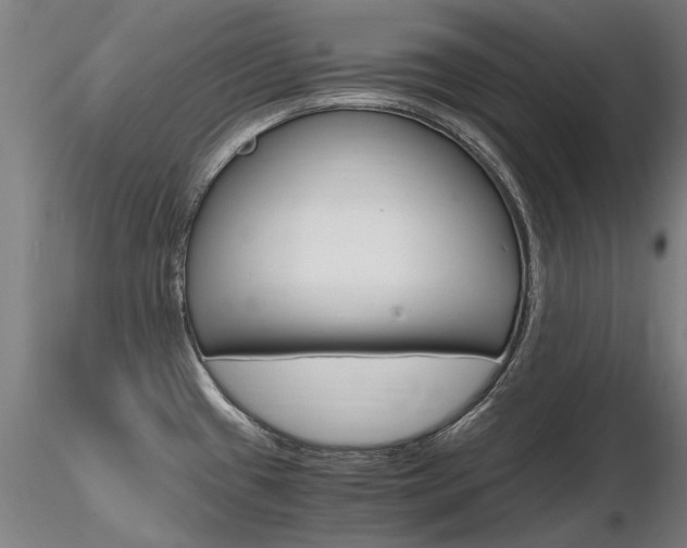 X0000116801433200912181108