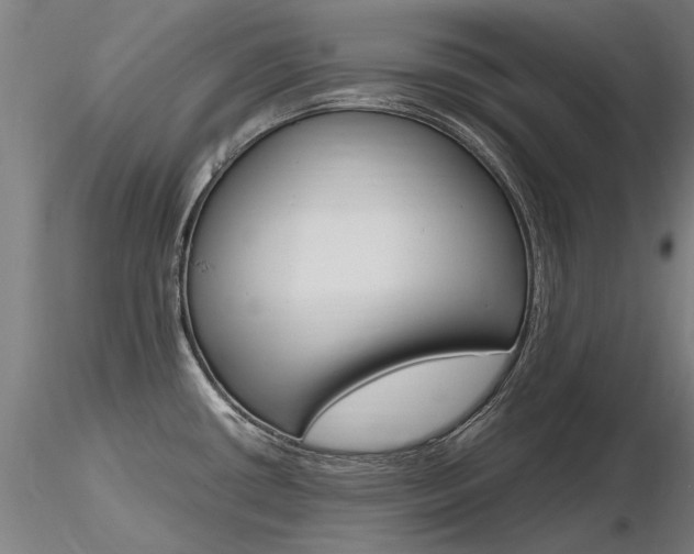 X0000116801434200912181108