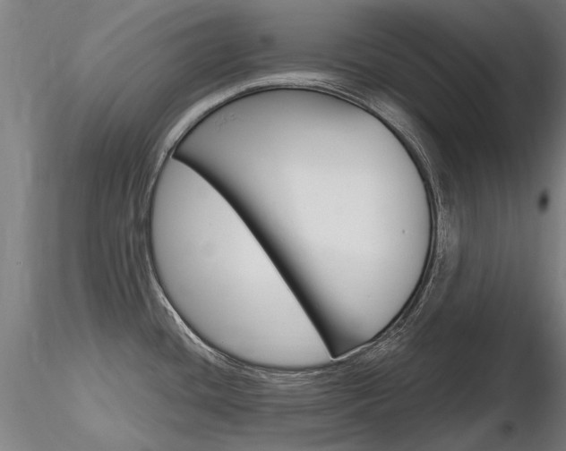 X0000116801436200912181108