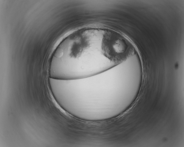X0000116801437200912181108