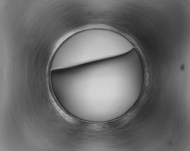 X0000116801438200912181108