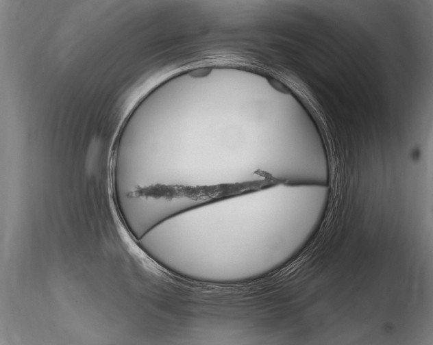 X0000116801439200912181108