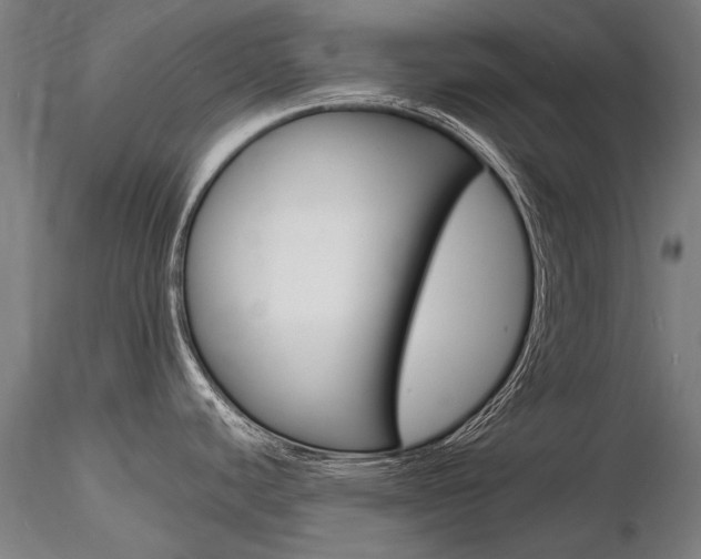 X0000116801440200912181108