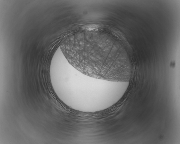 X0000116801442200912181107