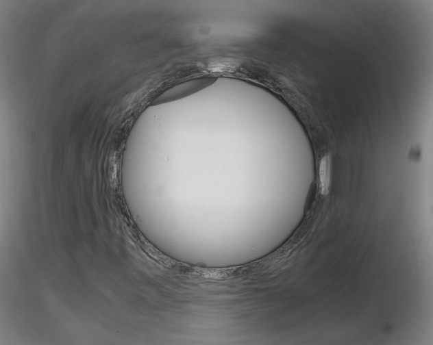 X0000116801443200912181107