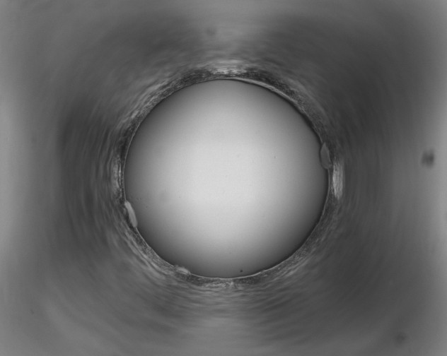 X0000116801444200912181107