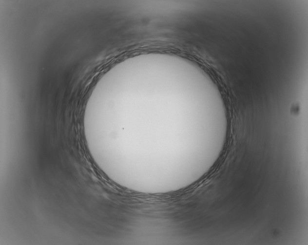 X0000116801445200912181107