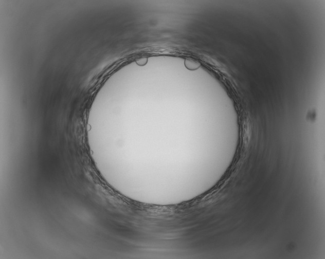 X0000116801446200912181107