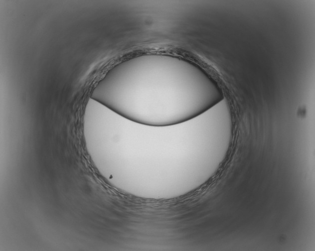 X0000116801447200912181107