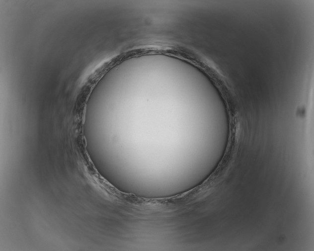 X0000116801448200912181107