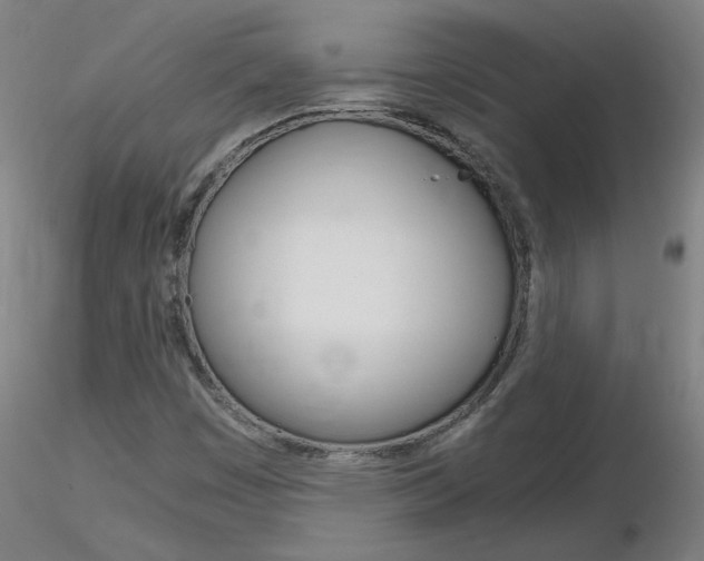 X0000116801449200912181107