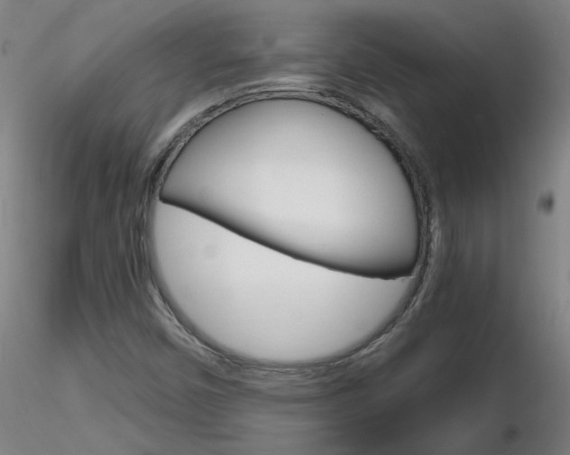X0000116801450200912181107