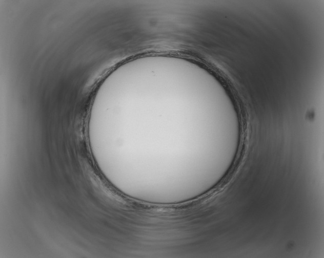 X0000116801451200912181107