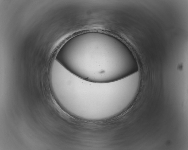 X0000116801452200912181107