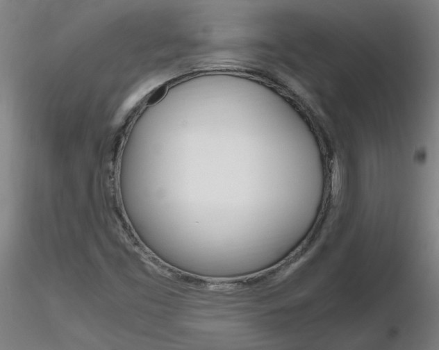 X0000116801453200912181107