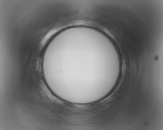 X0000116801454200912181107