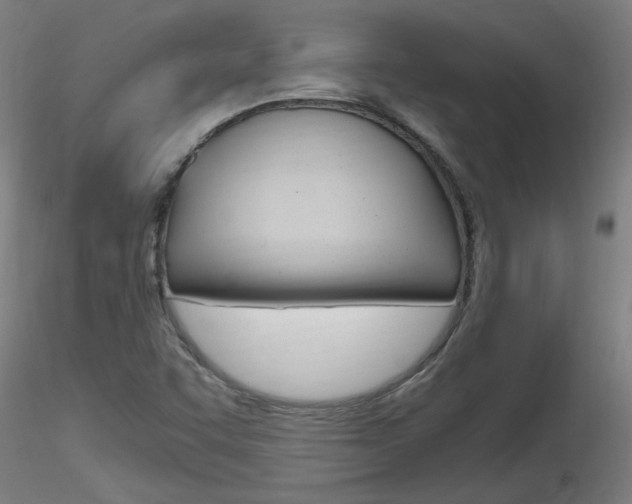 X0000116801455200912181107
