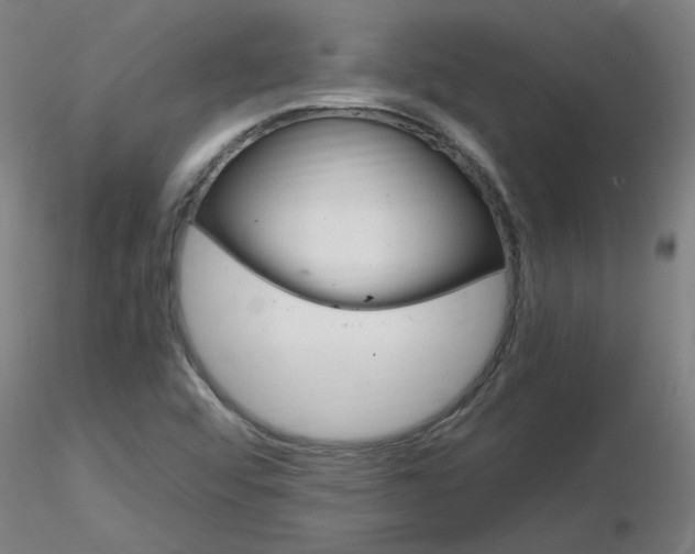 X0000116801456200912181107