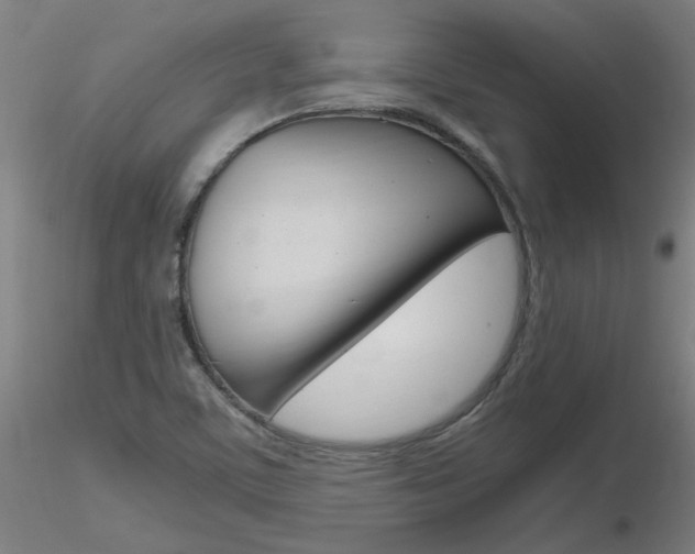 X0000116801459200912181107