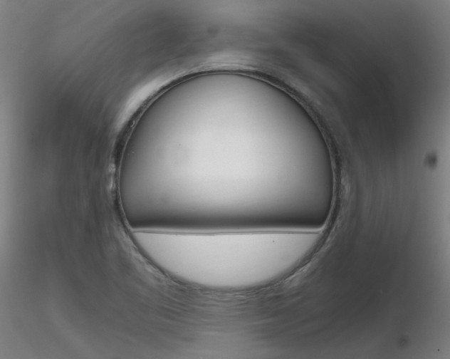 X0000116801461200912181107