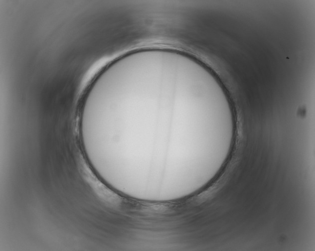 X0000116801462200912181107