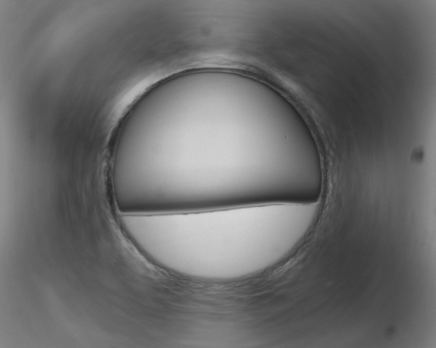 X0000116801463200912181107