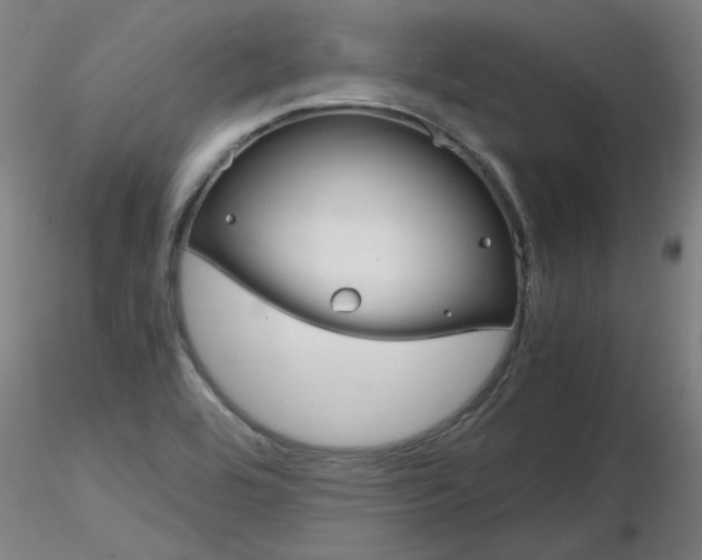 X0000116801464200912181107