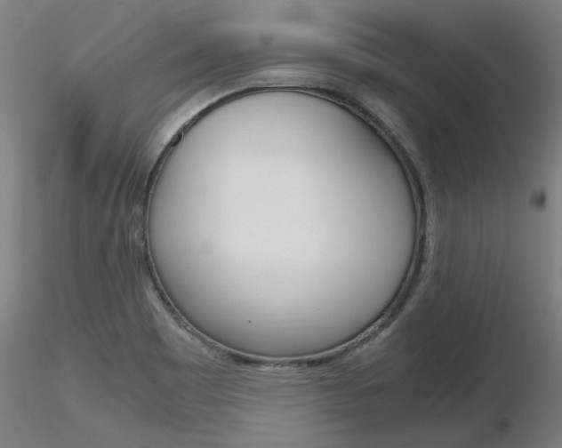 X0000116801465200912181107