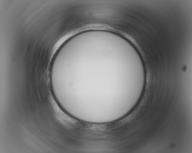 X0000116801466200912181107