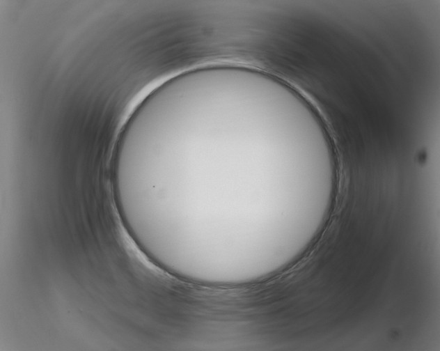 X0000116801468200912181107