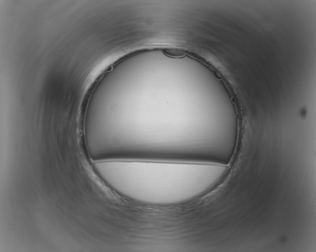 X0000116801469200912181106