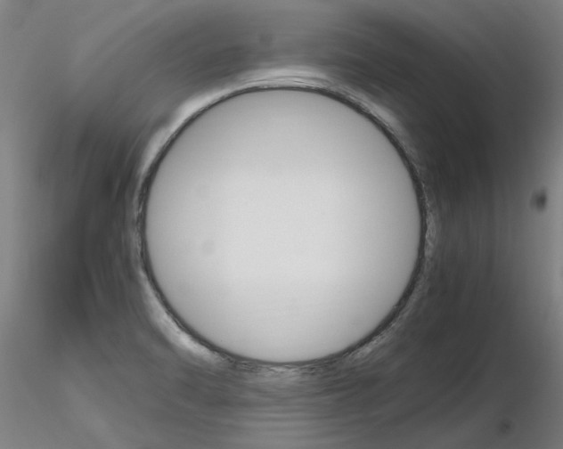 X0000116801470200912181106