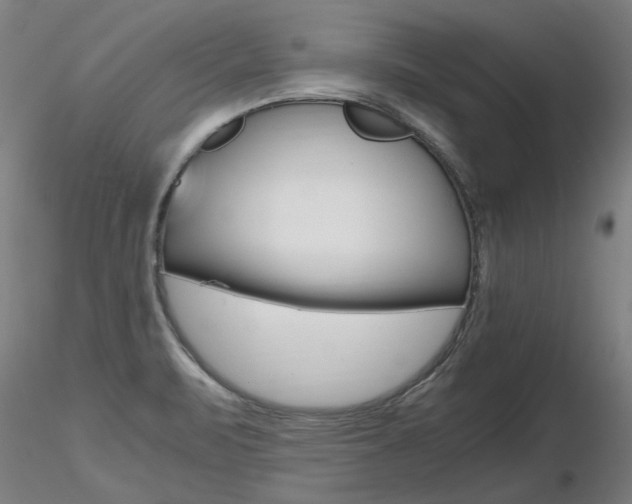 X0000116801471200912181106