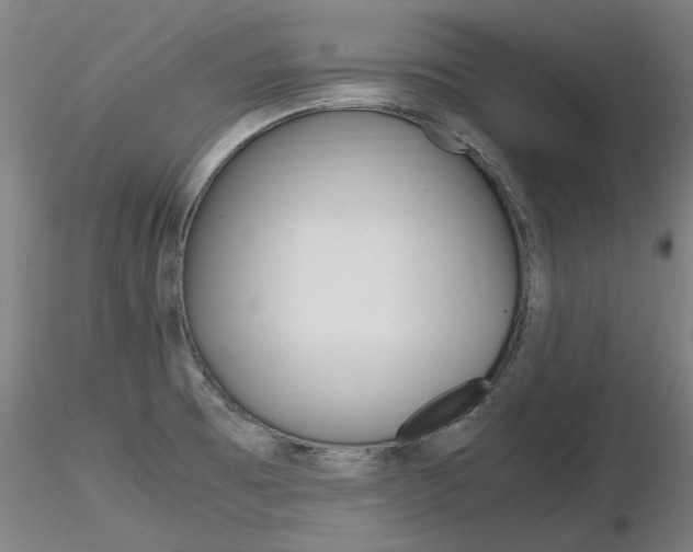 X0000116801473200912181106