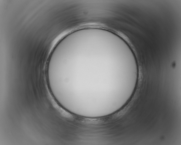 X0000116801474200912181106