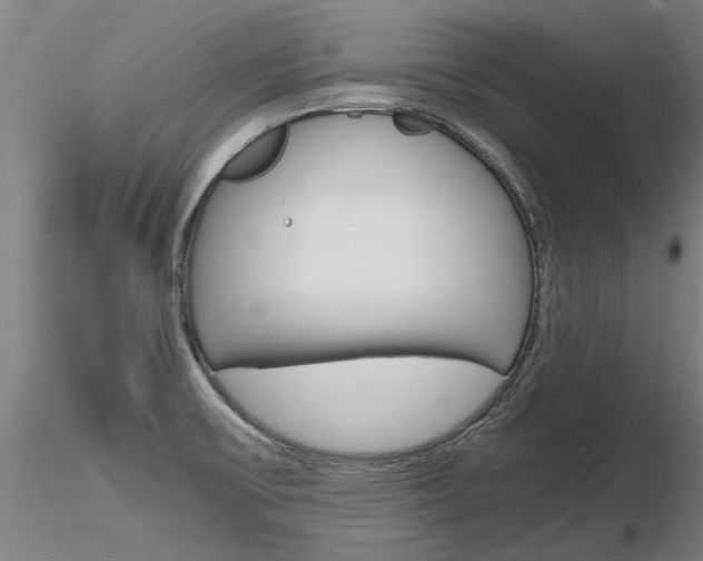 X0000116801475200912181106