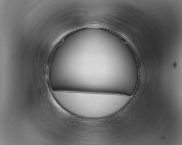 X0000116801476200912181106