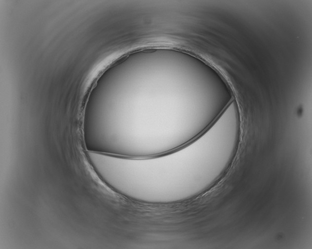 X0000116801477200912181106