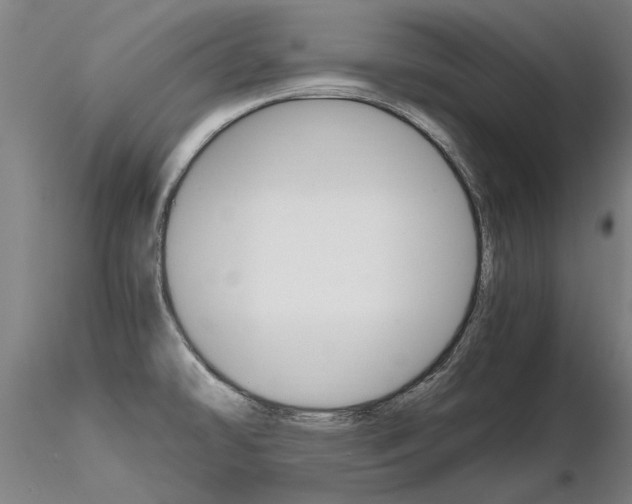 X0000116801478200912181106