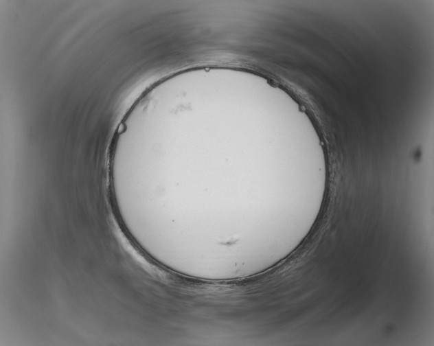 X0000116801479200912181106