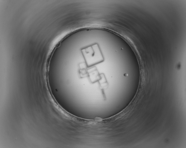 X0000116801480200912181106