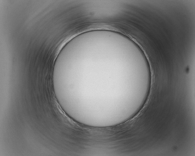 X0000116801481200912181106