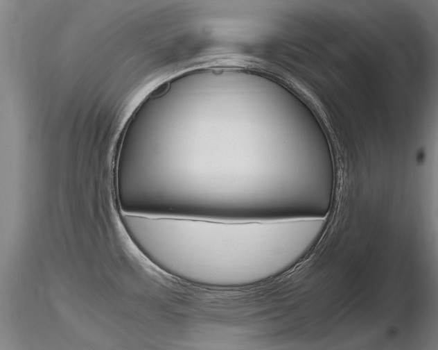 X0000116801483200912181106